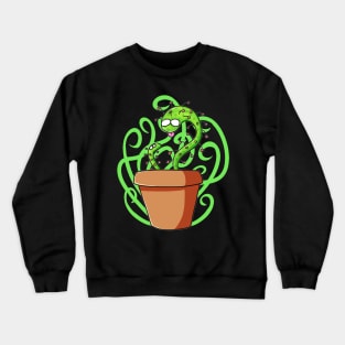 Drosera capensis Crewneck Sweatshirt